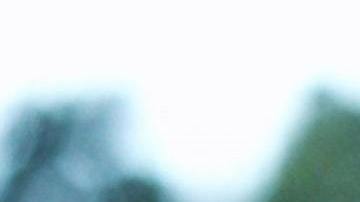 Crea una conexión especial con el planeta.