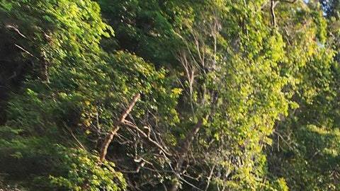 Tu signo te dice en qué lugar deberías vacacionar.