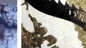 Las armas que portaba Cardona