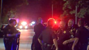 Desmantelan campamento ligado con narcotráfico.