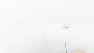 En la actualidad la mayoría de los matrimonios están pasado las 24 horas juntos en casa.