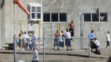 Según el NYT, unos 273 detenidos han arrojado positivo al Covid-19.