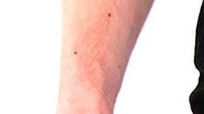 Parecen verdaderas gangas, pero lo mejor es que te alejes de ellas.