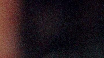 quien es dennis rodman