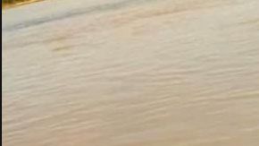 Un objeto llamó la atención de una persona que caminaba cerca,