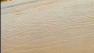 Un objeto llamó la atención de una persona que caminaba cerca,