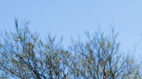 La condición es que los clientes no residan a más de un milla de distancia.