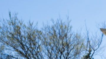 La condición es que los clientes no residan a más de un milla de distancia.