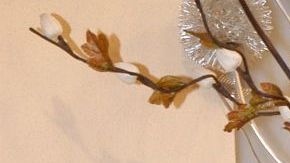 Rocío Sánchez Azuara