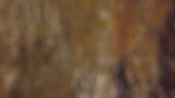 Bárbara Mori protagonizó "Rubí" en Televisa.