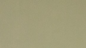 Sean y Kenneth Salas son los fundadores de la empresa financiera Camino Financial./Cortesía CF