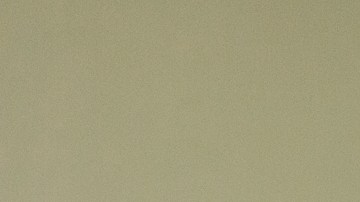 Sean y Kenneth Salas son los fundadores de la empresa financiera Camino Financial./Cortesía CF