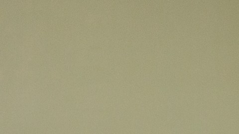 Sean y Kenneth Salas son los fundadores de la empresa financiera Camino Financial./Cortesía CF