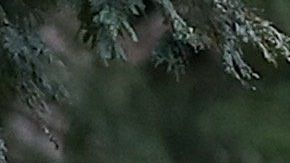 Los sepultureros del cementerio de Vila Formosa, en Sao Paulo, trabajan a marchas forzadas.