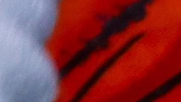 El tarot puede ayudarte a encaminar tu destino.