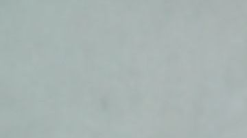 shutterstock_1115357936