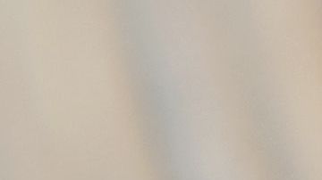 shutterstock_133272845