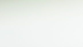 shutterstock_1334530613