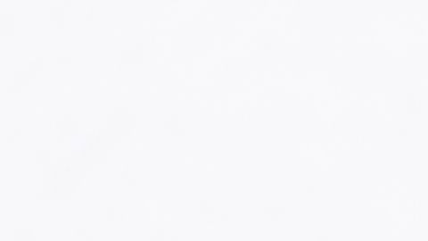 shutterstock_1376250929