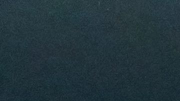 Fenómeno de bioluminiscencia en la playa.