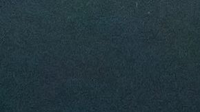 Fenómeno de bioluminiscencia en la playa.