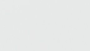 shutterstock_1445525612