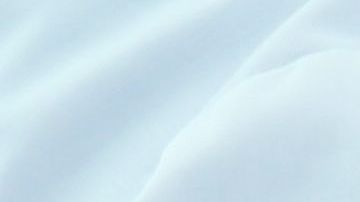 shutterstock_1457173247