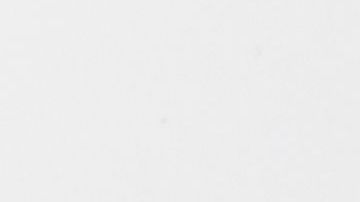 Nunca pensó que su creación se volvería todo un hit.