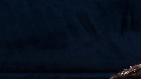 El coronavirus es sumamente contagioso.