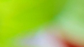 shutterstock_217353889