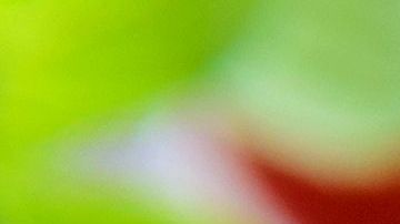 shutterstock_217353889