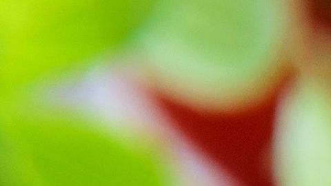 shutterstock_217353889