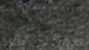 shutterstock_235901956