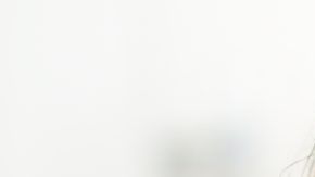 Shampoos para restaurar el cabello dañado.