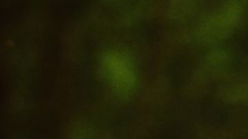 shutterstock_284871191