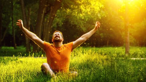 shutterstock_284871191