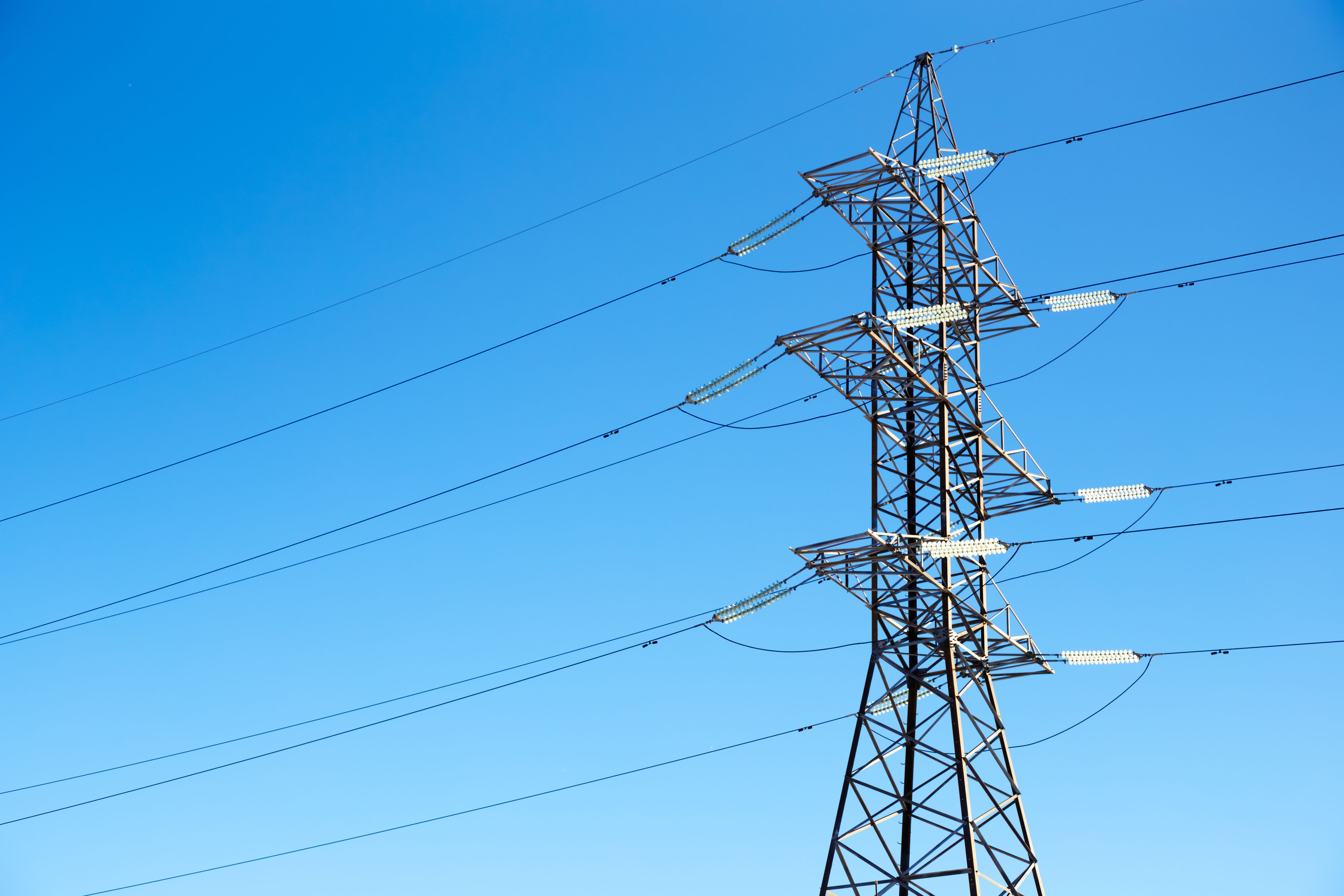 Niña queda colgada de cable de alta tensión por accidente El Diario NY Niña queda colgada de cable de alta tensión por accidente El Diario NY