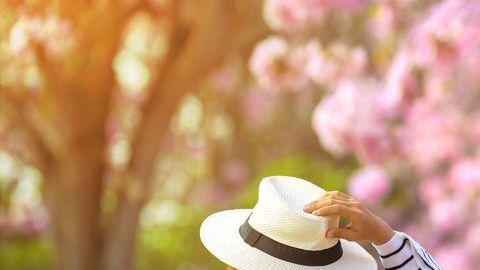 No hay acuerdo científico sobre el efecto del calor sobre el virus.