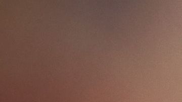 Después de semanas de incertidumbre, pudieron reencontrarse.