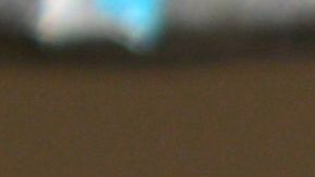 El hombre le pidió perdón a los pájaros por quitarles su libertad.