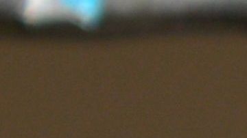 El hombre le pidió perdón a los pájaros por quitarles su libertad.