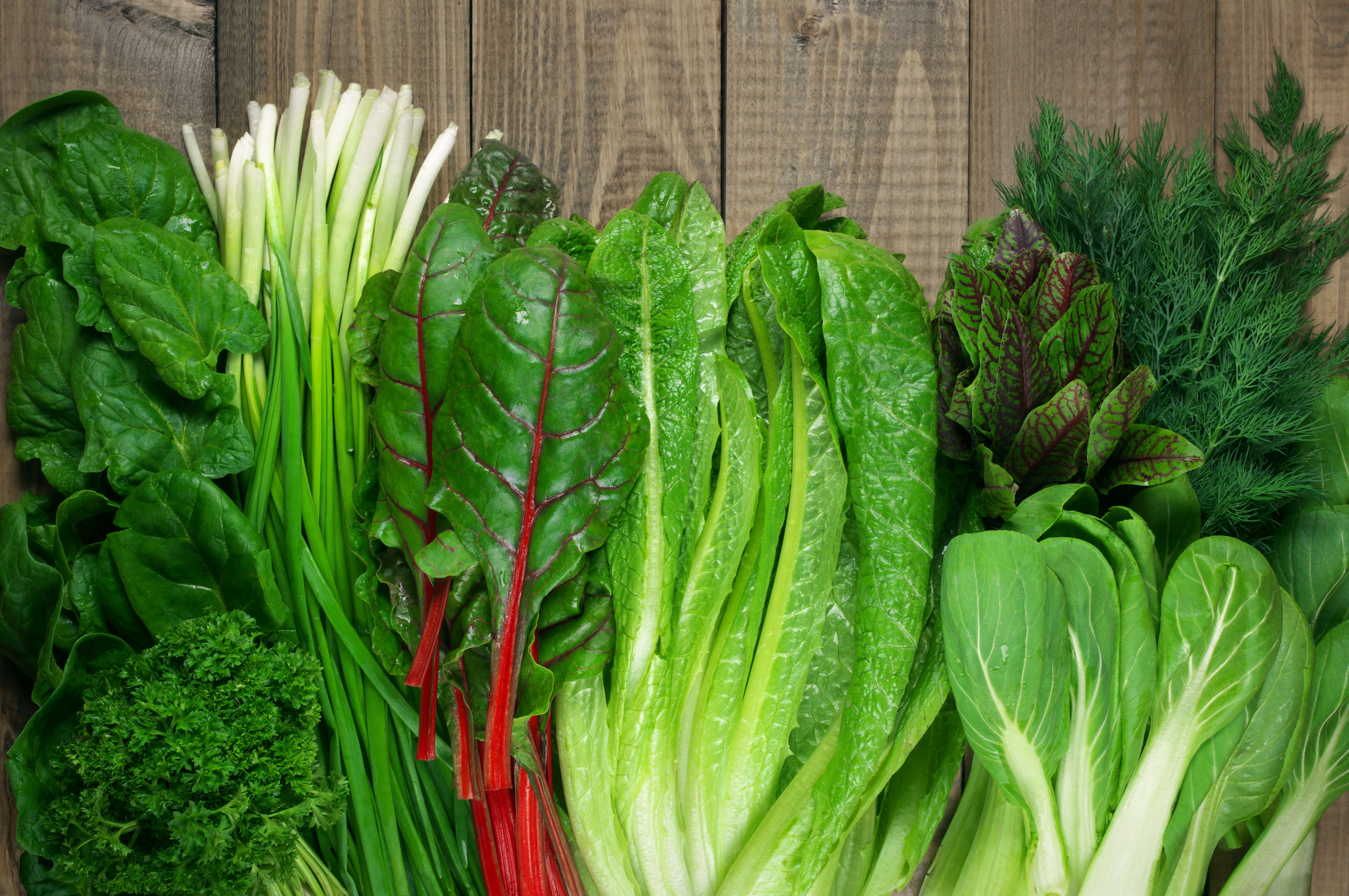 Estas Son Las Verduras De Hoja Verde Que No Deben Comer Los Menores De ...