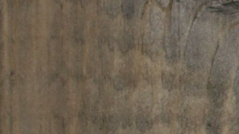 Las verduras de hoja verde tienen una alta concentración de nitrato.