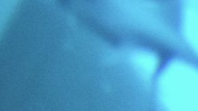 shutterstock_509944411