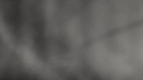 shutterstock_515889076