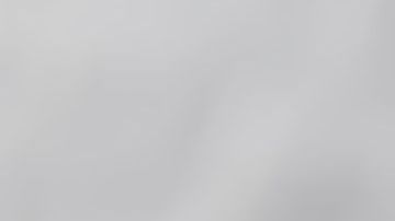 shutterstock_529908469