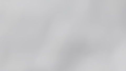 shutterstock_529908469