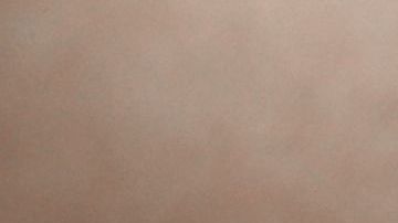 shutterstock_652751140