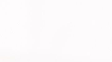 shutterstock_736138987