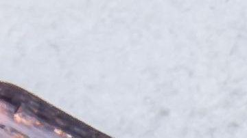 La inclusión de nopal y sobre todo el jugo en ayuno, se relaciona con efectos antihiperglucémicos y antihiperinsulinémicos.